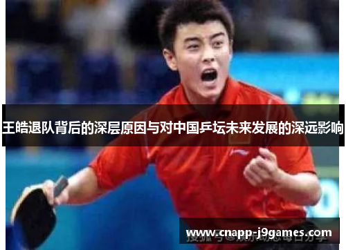 王皓退队背后的深层原因与对中国乒坛未来发展的深远影响